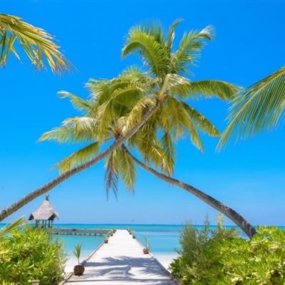 云开·全站APP登录入口