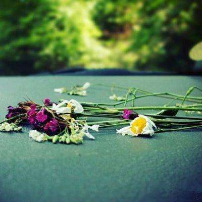 注册就送38的平台下载手机版截图